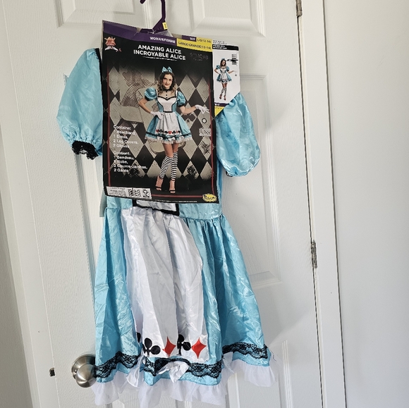 Amazing Alice Halloween Costume - Picture 2 of 2